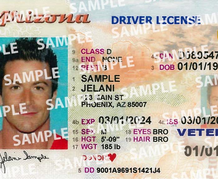 az driver's license travel